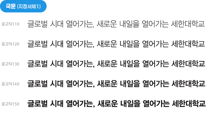 국문(지정서체1)